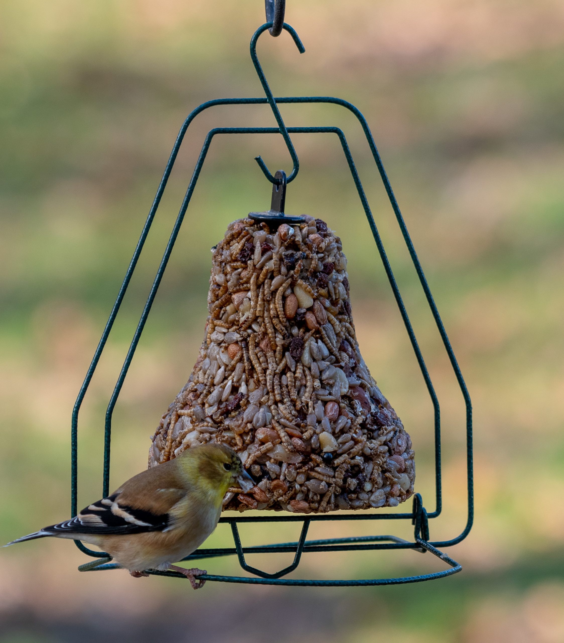 Bugs, Nuts & Fruit Bell - Image 5