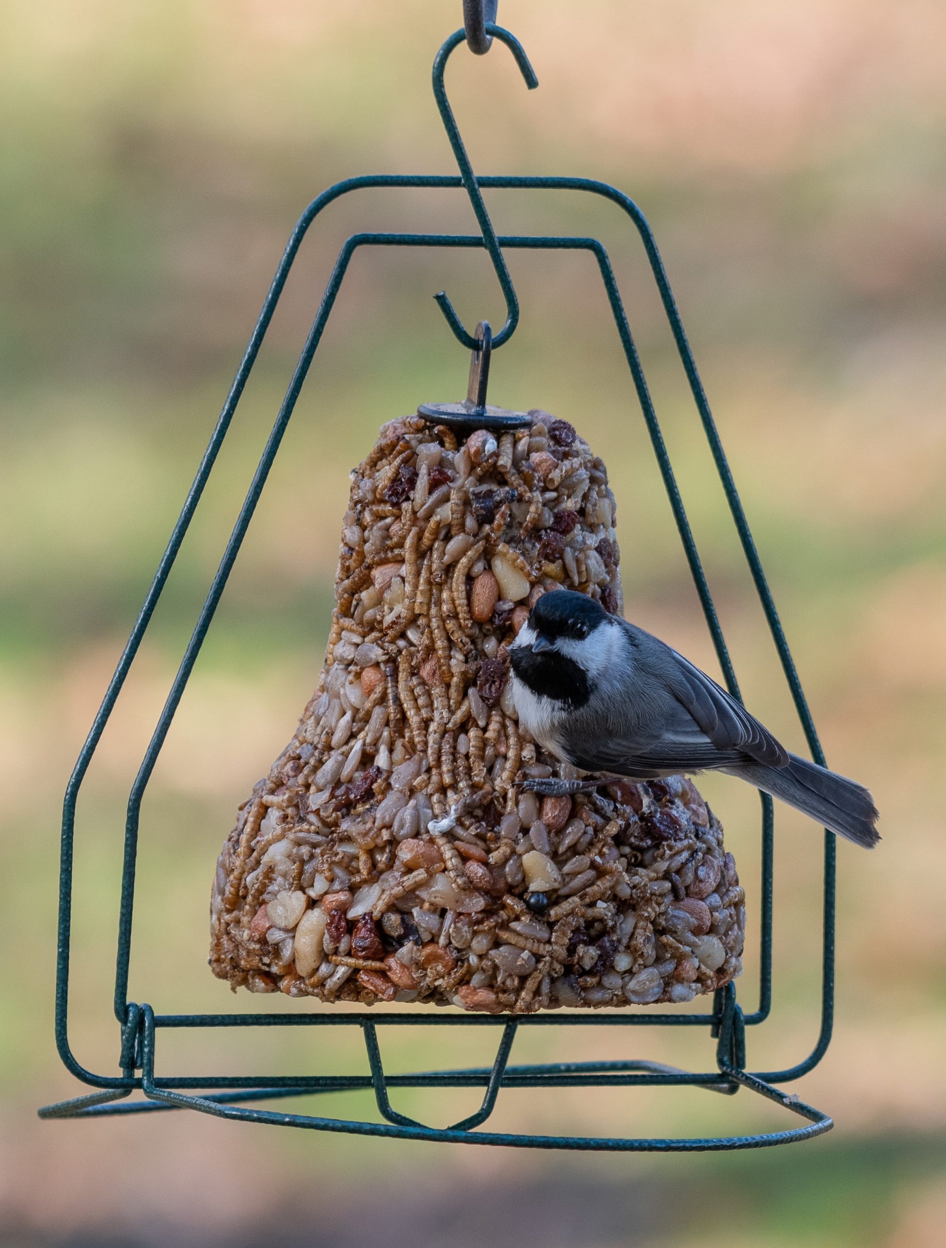 Bugs, Nuts & Fruit Bell - Image 6