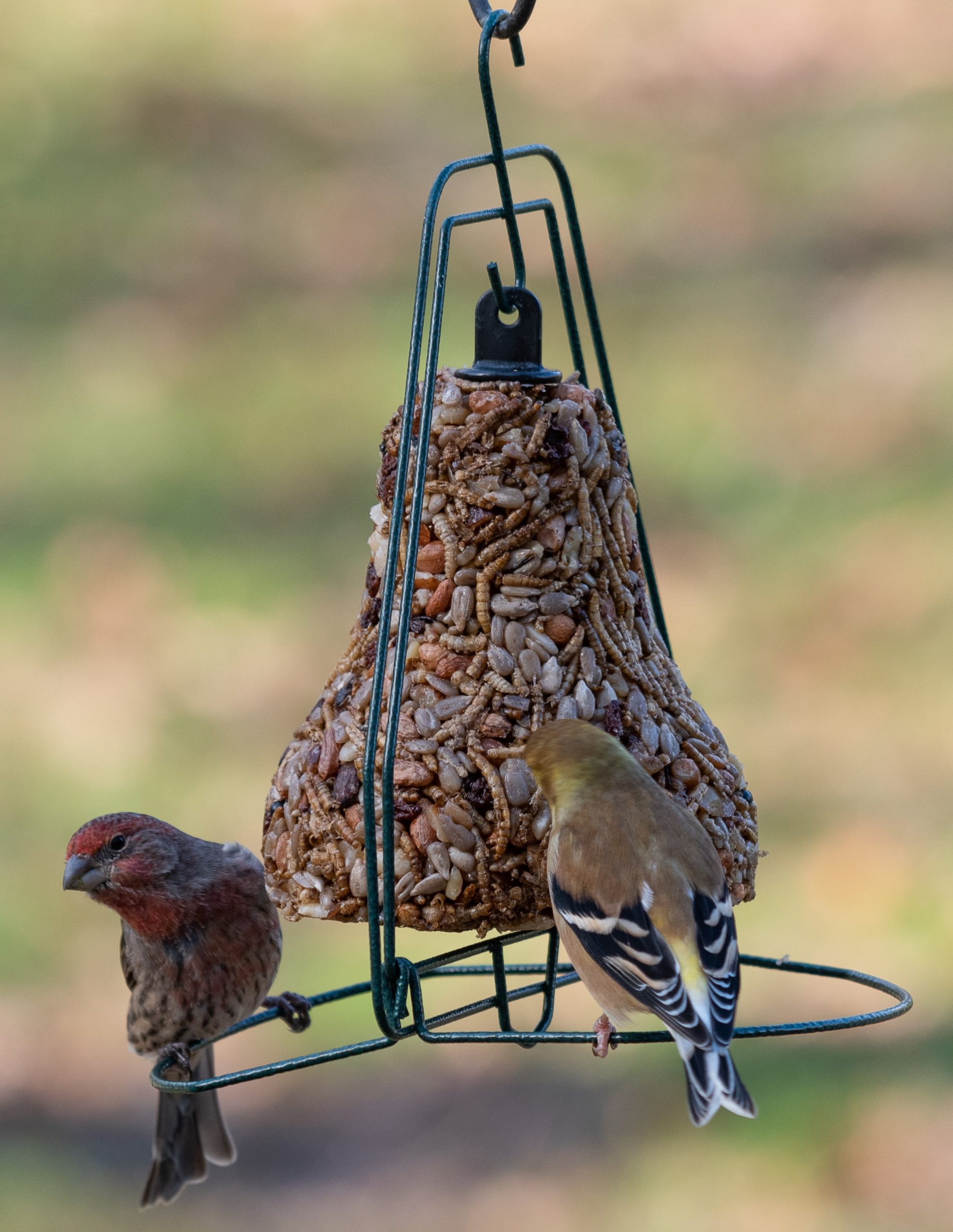 Seed Bell Hanger - Image 6