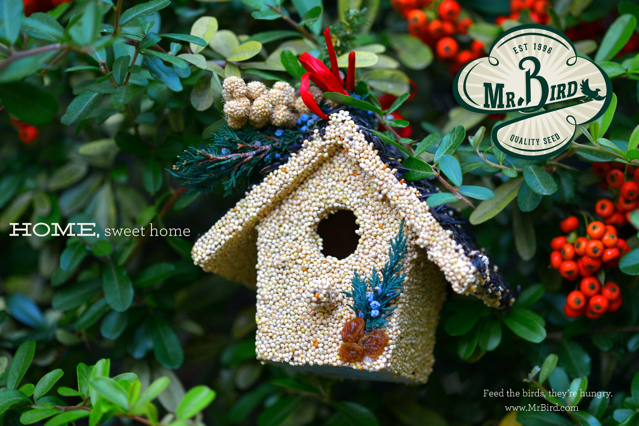 Holiday Birdie Cottage Treat - Image 4