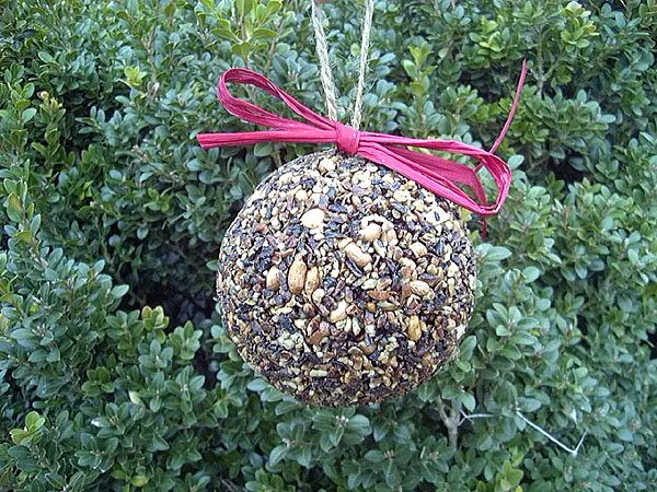 Seed & Nut Ornament - Image 9