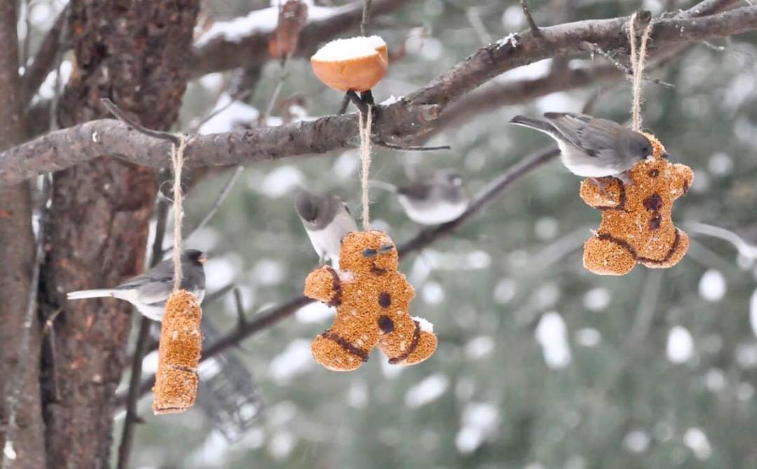 Gingerbread Men - 3 pack - Image 5