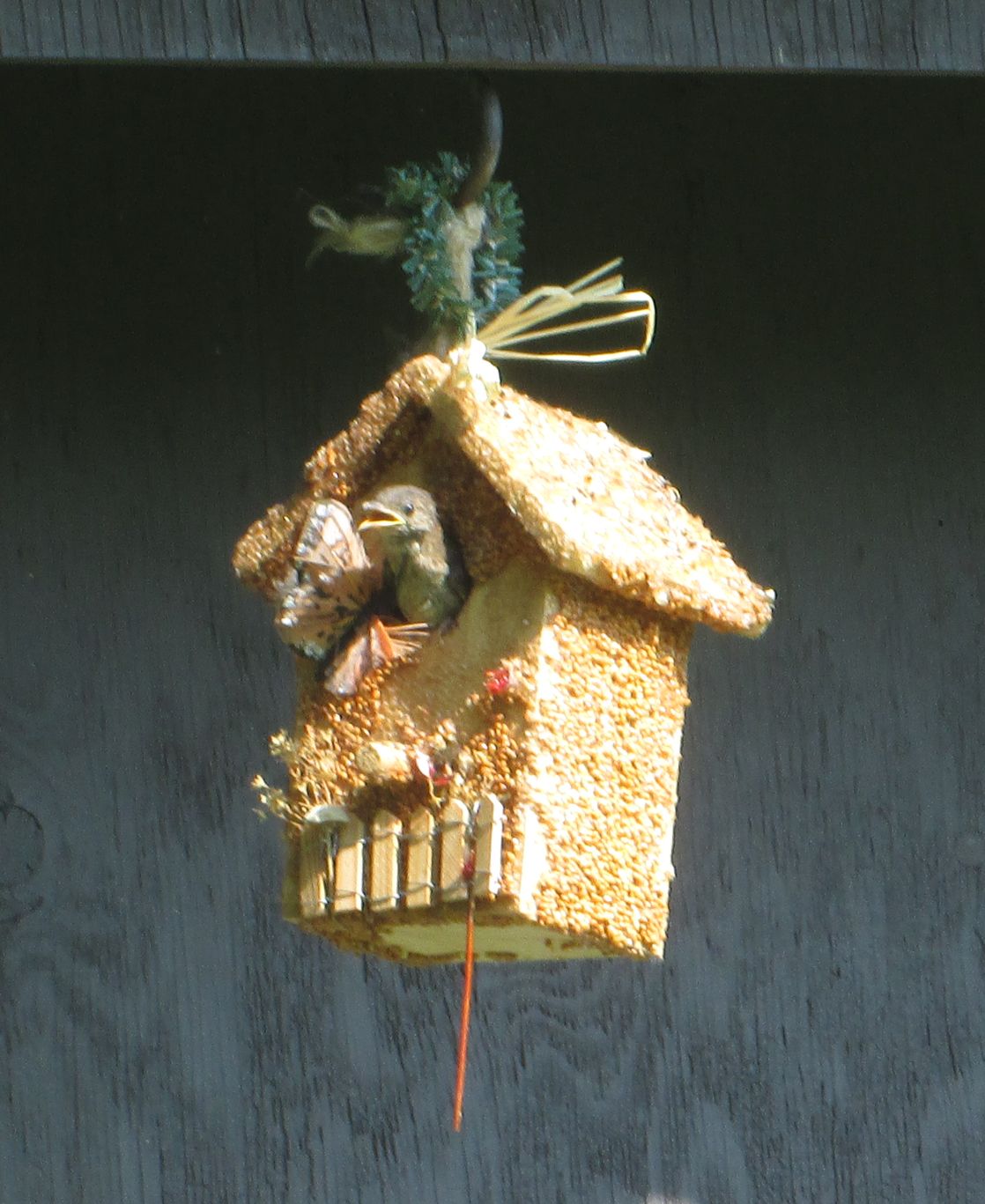 Holiday Birdie Cottage Treat - Image 9