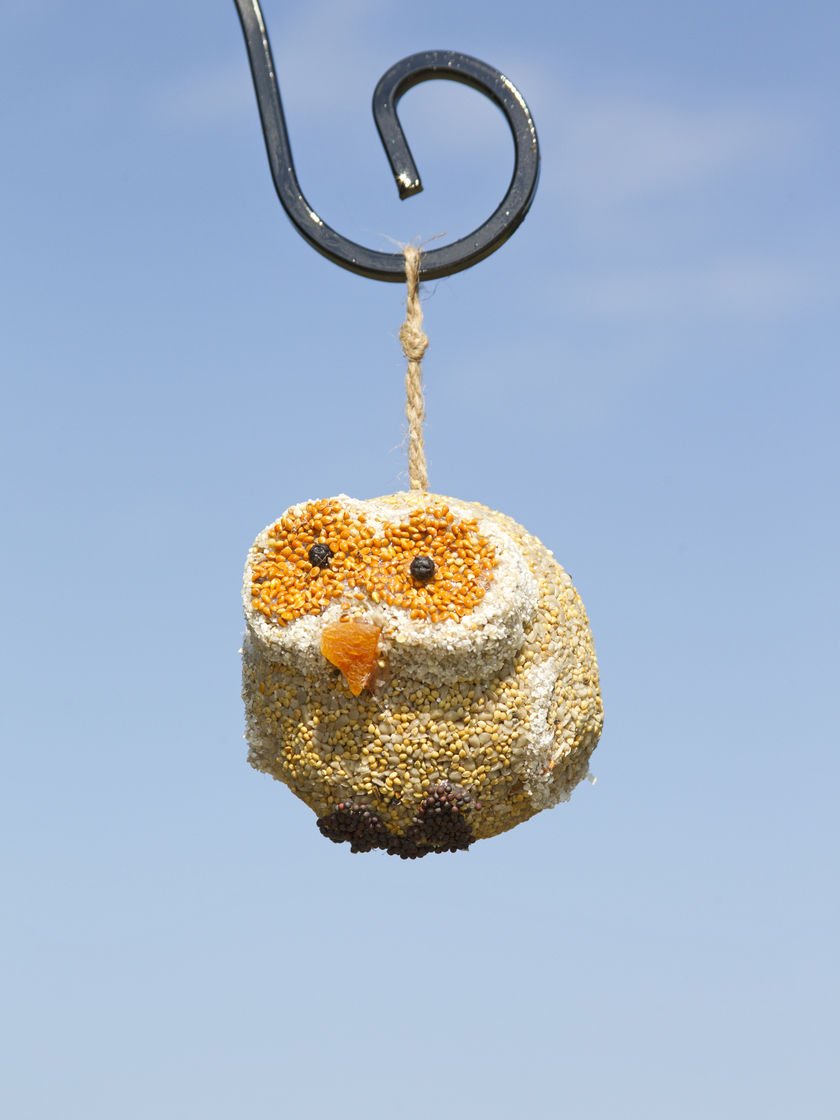 Woodland Friends - Owl - Image 3