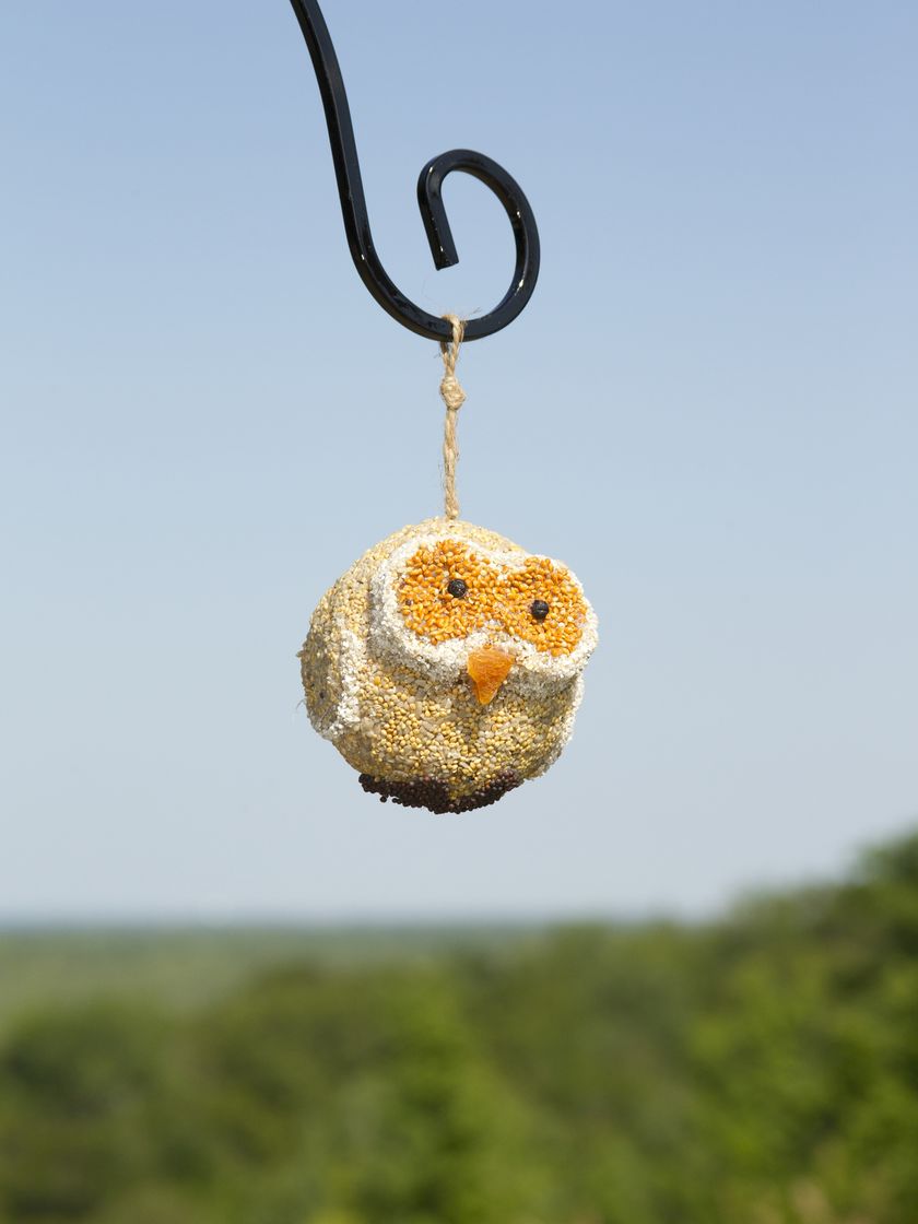 Woodland Friends - Owl - Image 4