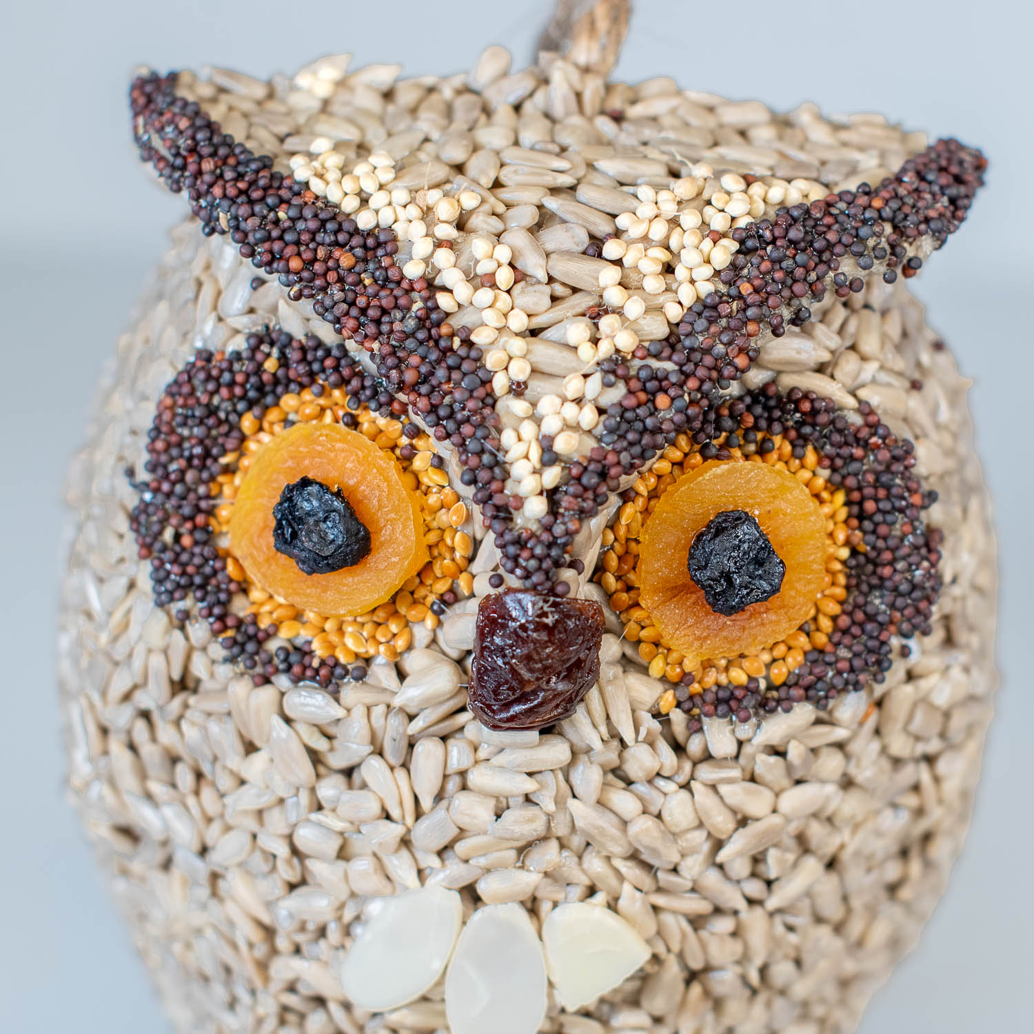 Whoo-lio - Image 4