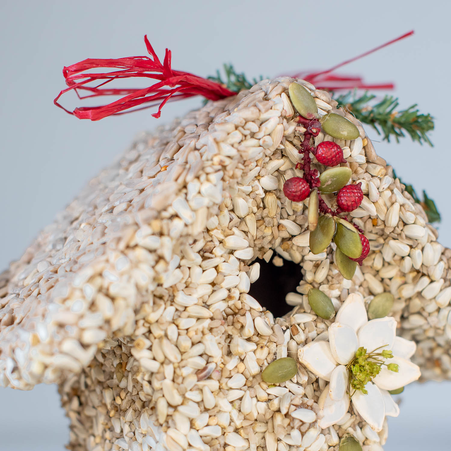 Poinsettia Birdie Cottage - Image 13