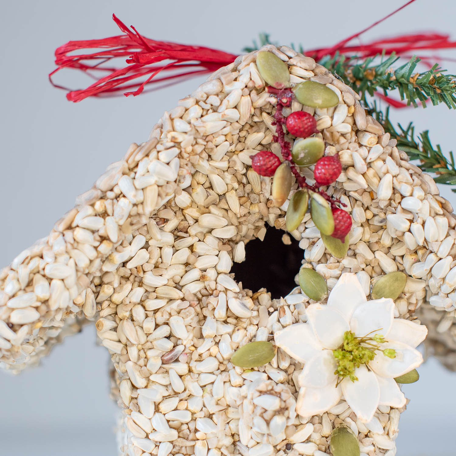 Poinsettia Birdie Cottage - Image 5