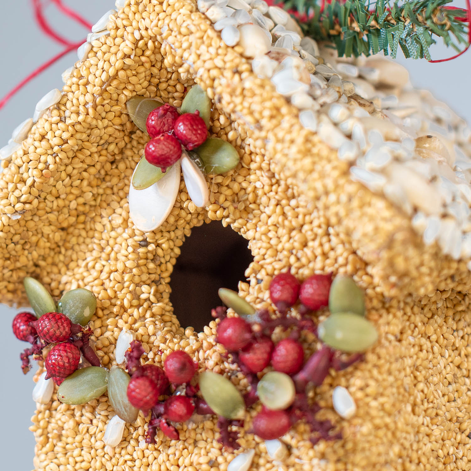 Poinsettia Birdie Cottage - Image 8