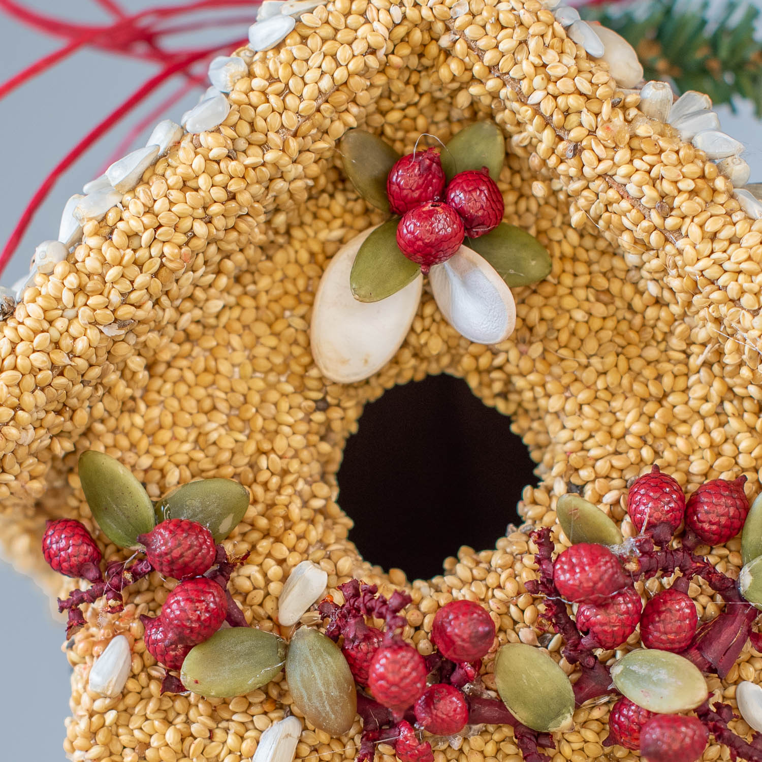 Poinsettia Birdie Cottage - Image 7