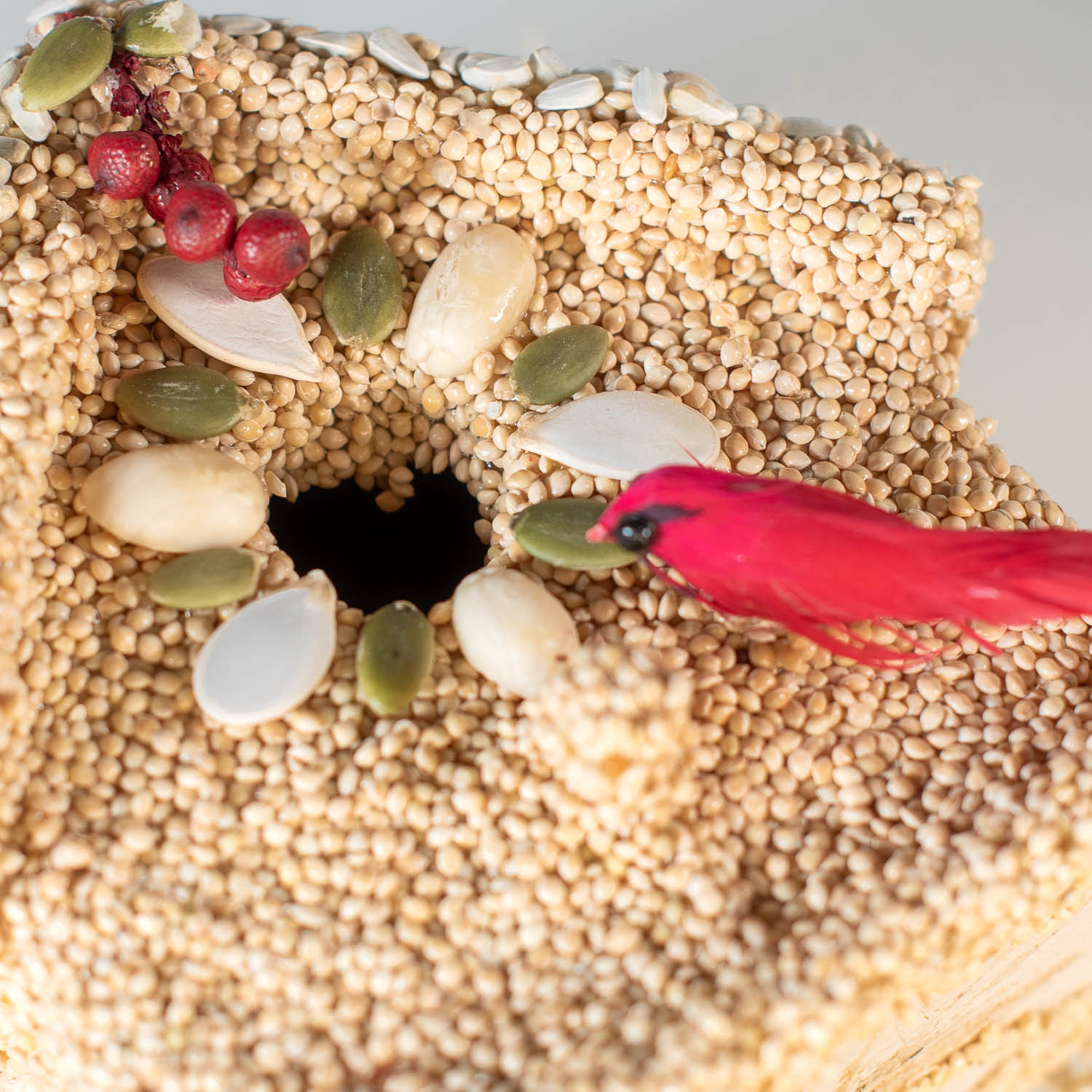 Poinsettia Birdie Cottage - Image 11