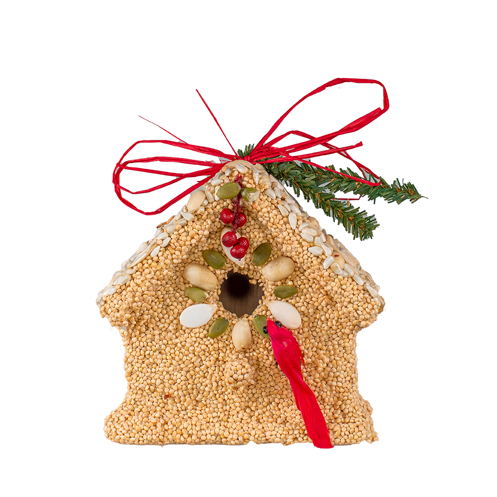 Poinsettia Birdie Cottage - Image 9