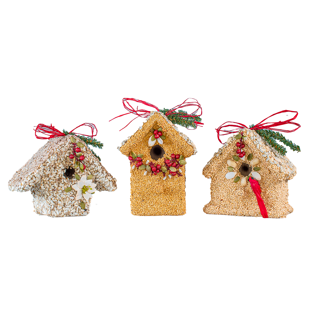 Poinsettia Birdie Cottage - Image 2