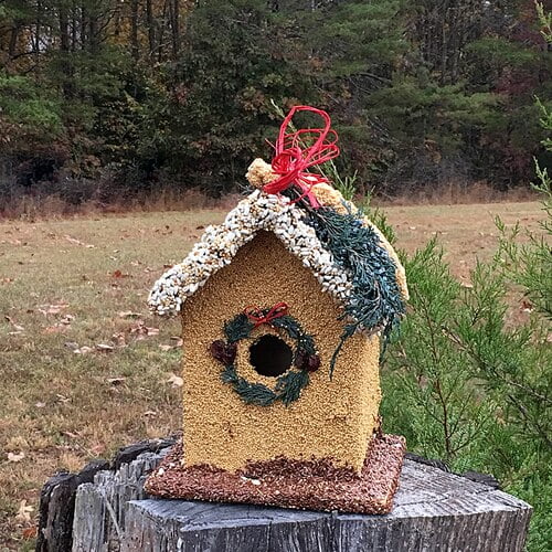 Birdie's B&B Bluebird - Image 4