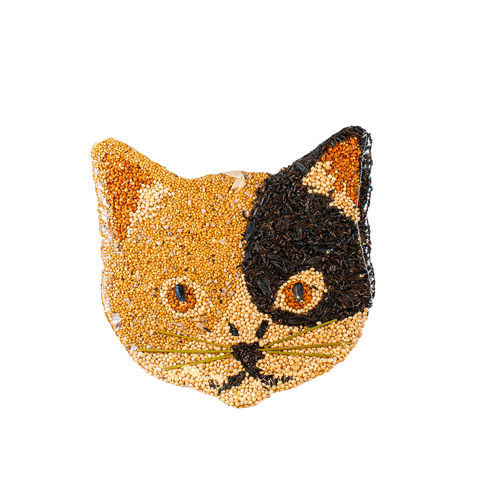 Cat Cookies - Image 6
