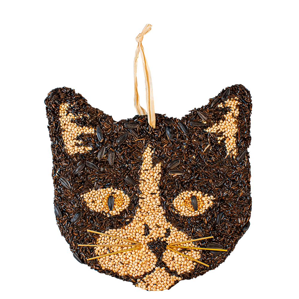 Cat Cookies - Image 4