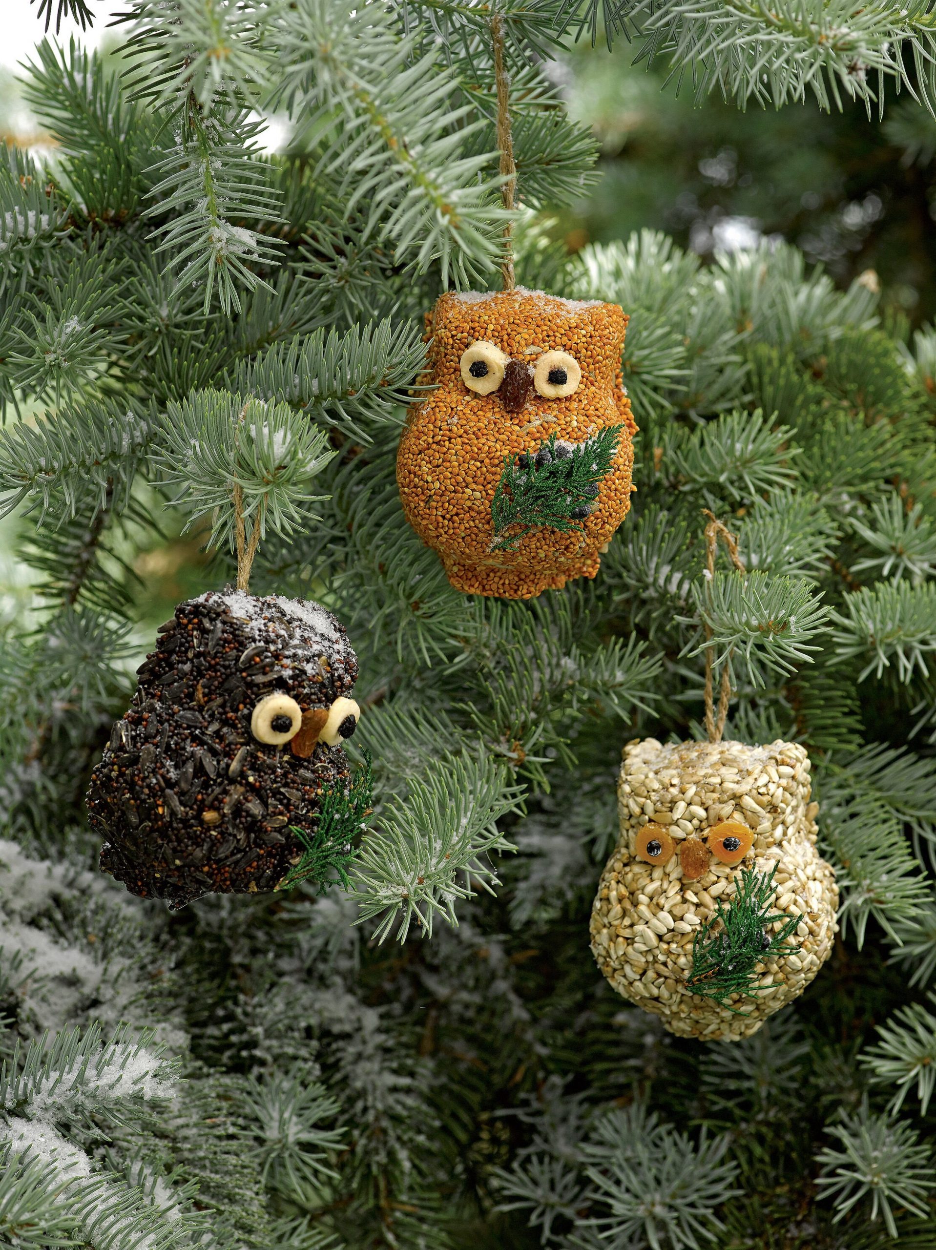 Ollie the Owl - 3 Pack - Image 7