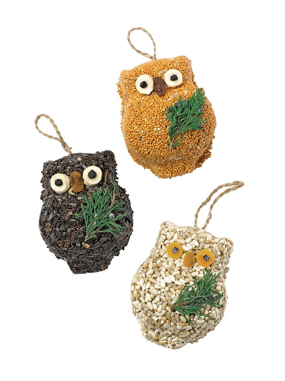 Ollie the Owl - 3 Pack - Image 9