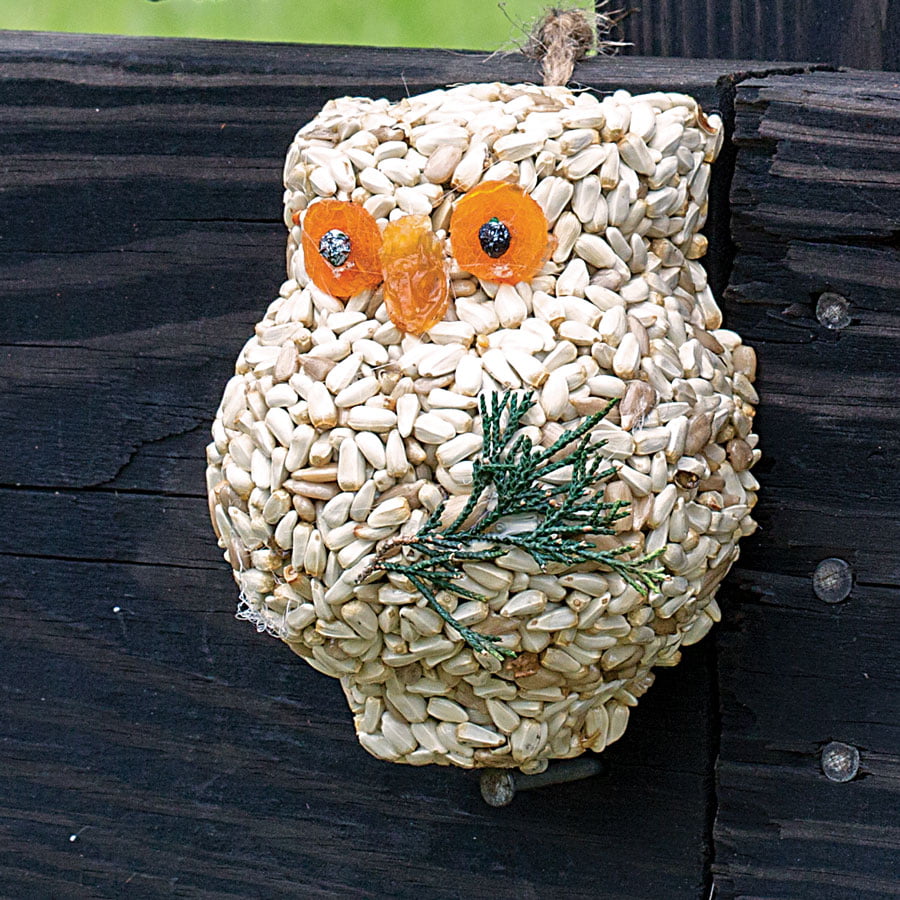 Ollie the Owl - 3 Pack - Image 10