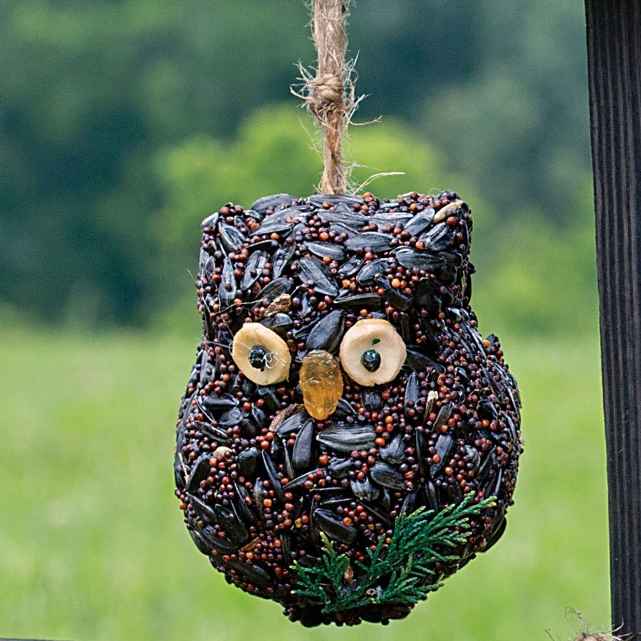 Ollie the Owl - 3 Pack - Image 11