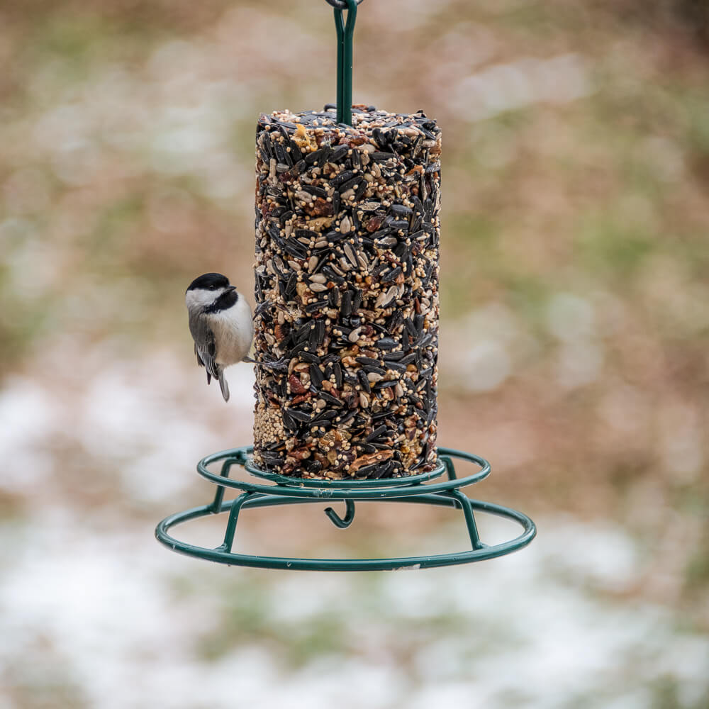 EZFeeder - Image 5