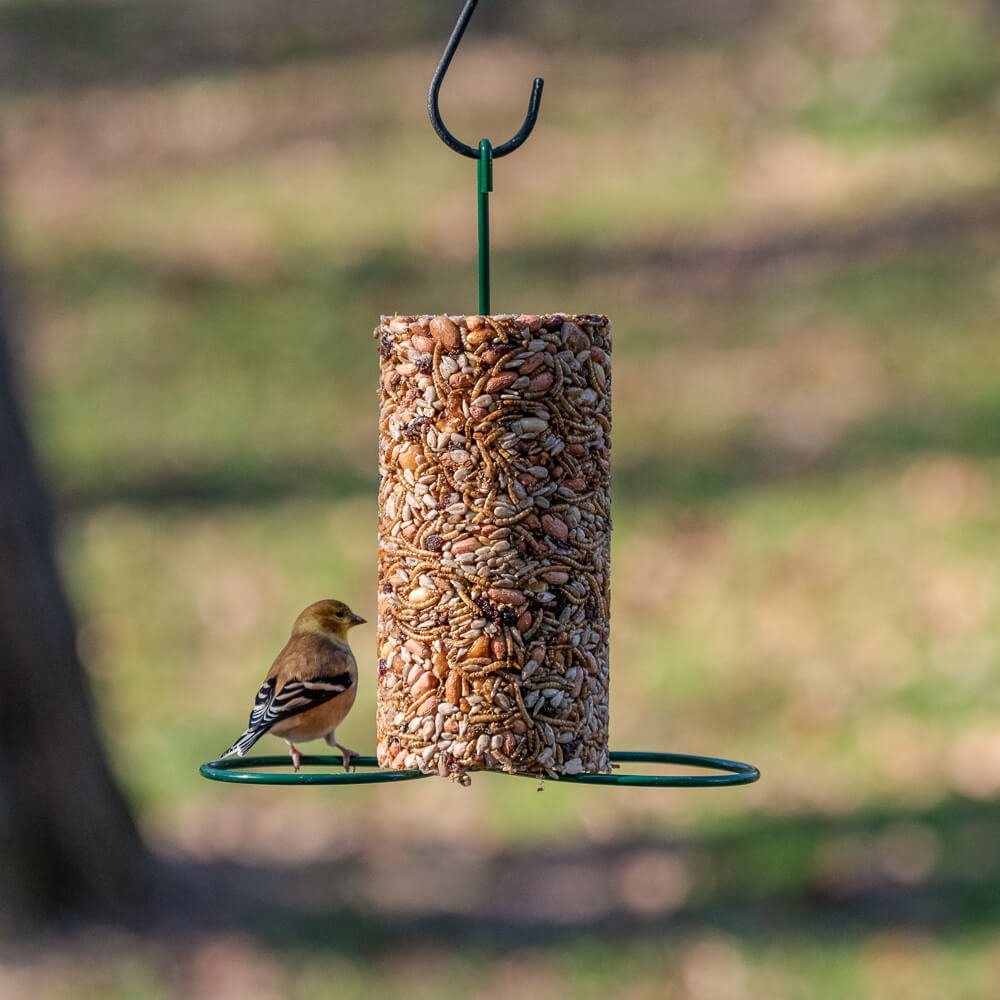 Bugs, Nuts, & Fruit Cylinder - Small - Image 7