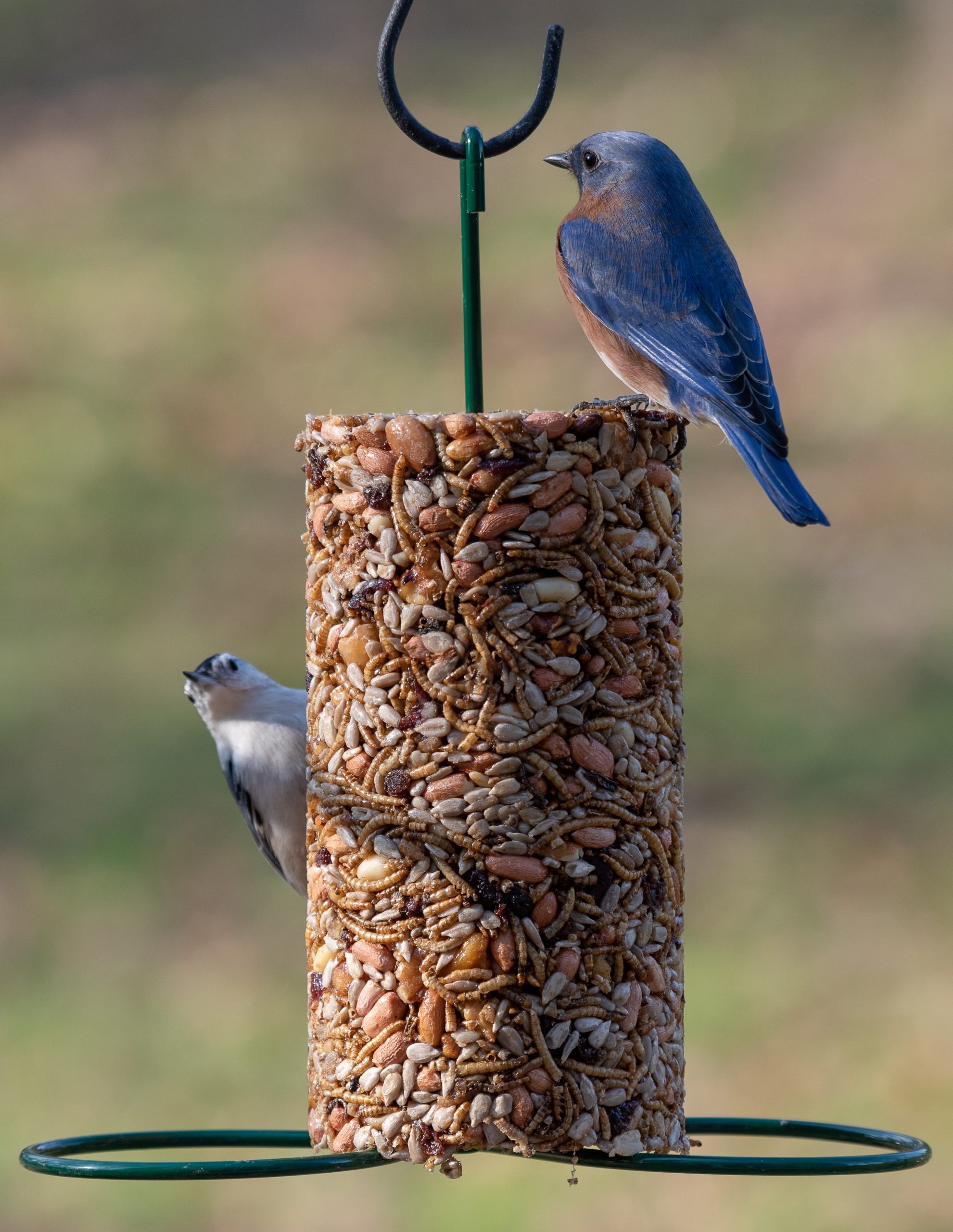 Bugs, Nuts, & Fruit Cylinder - Small - Image 5