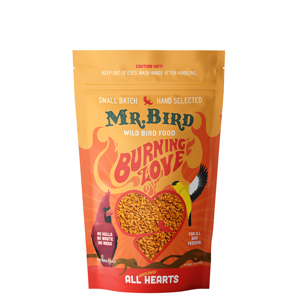 Burning Love Bag Seed