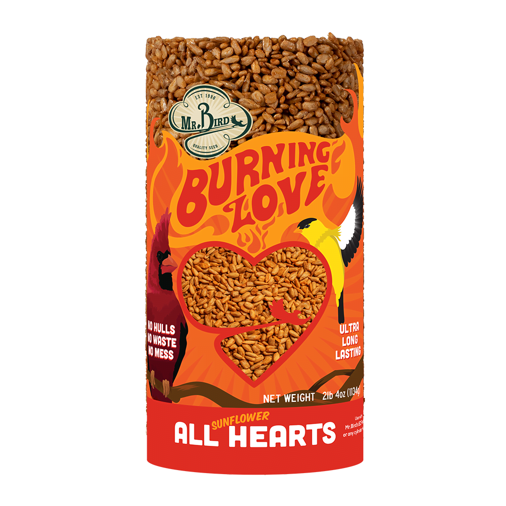 Burning Love Small Cylinder