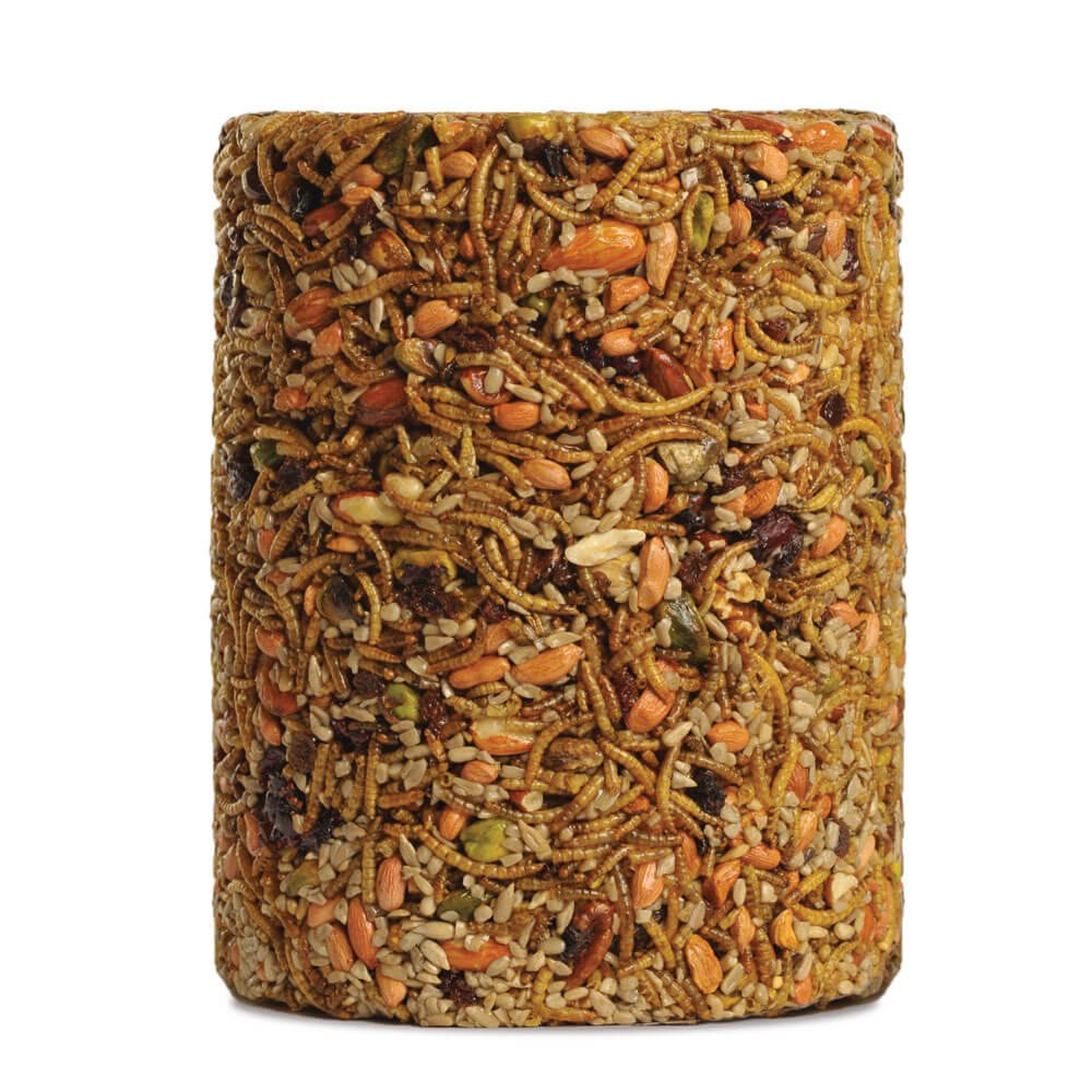 Bugs, Nuts, & Fruit Cylinder - Large - Image 2