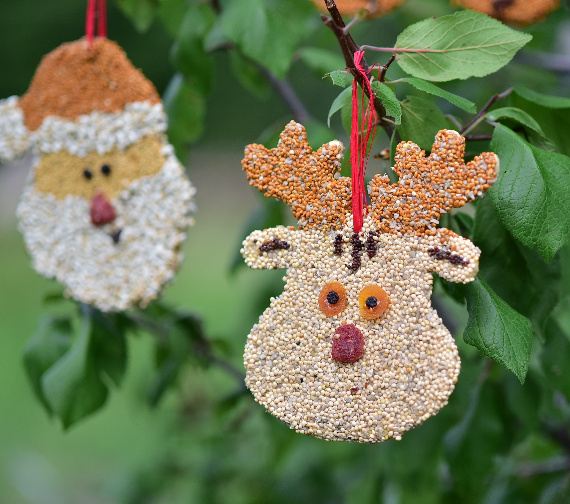 Rudolph Christmas Cookie - Image 2