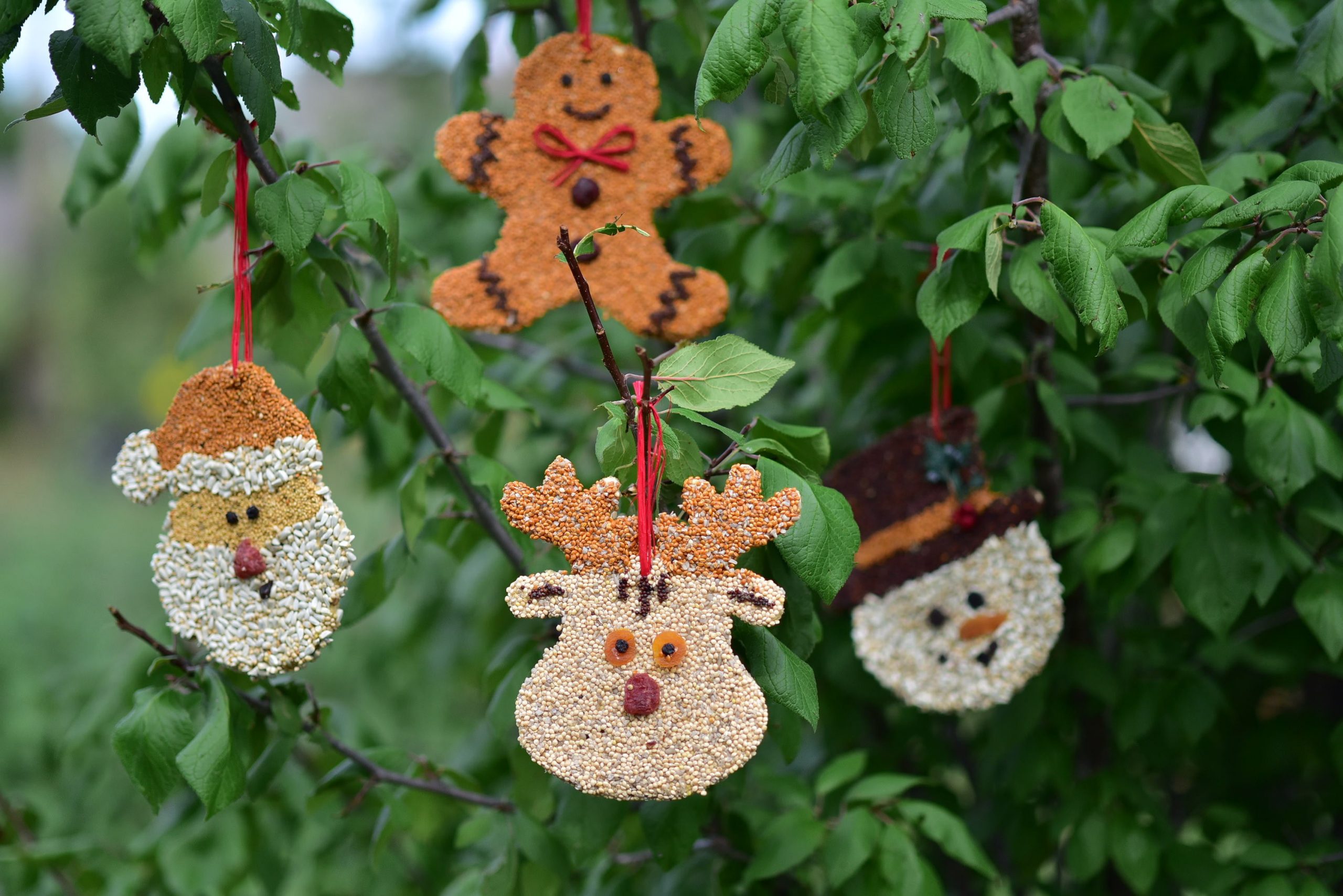 Rudolph Christmas Cookie - Image 4