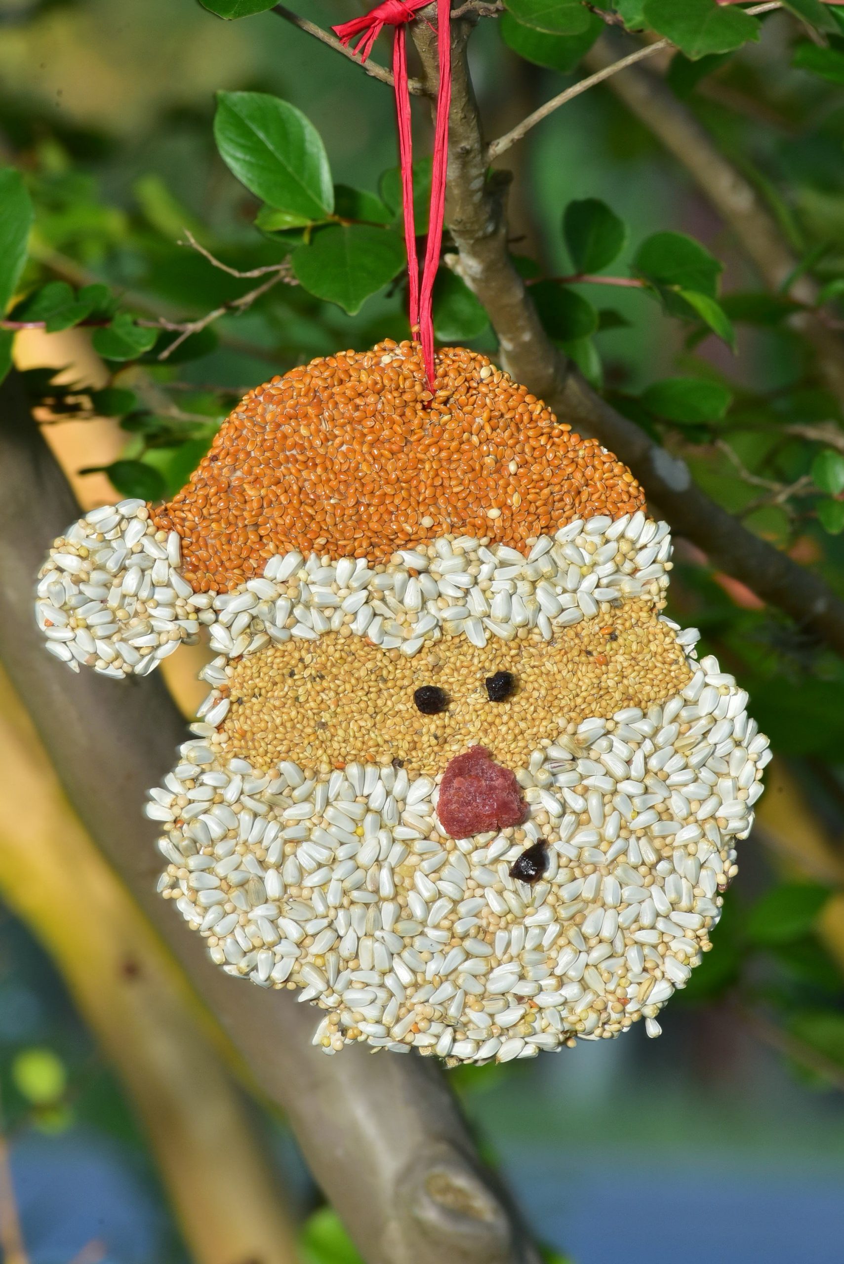 Santa Christmas Cookie - Image 7