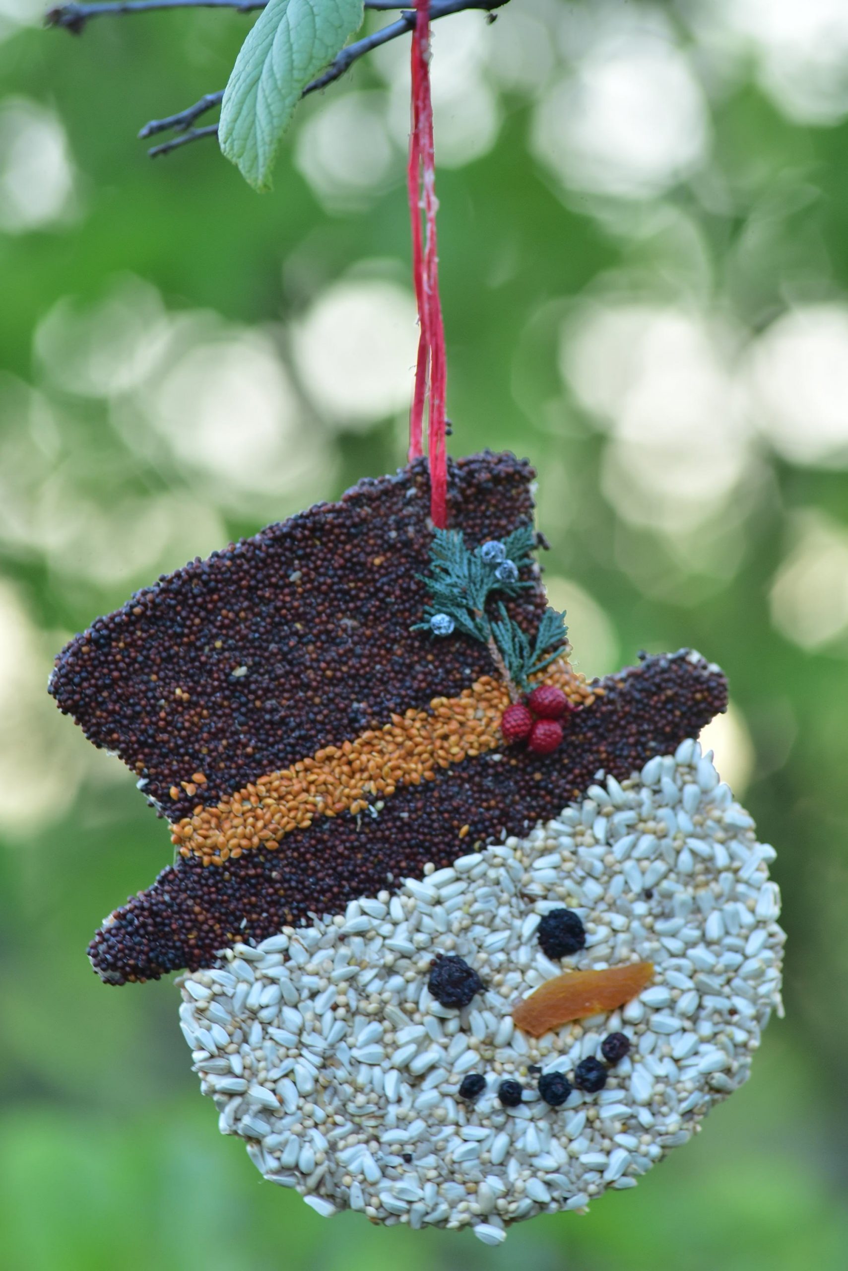 Frosty Christmas Cookie - Image 3