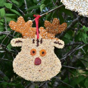 Rudolph Christmas Cookie