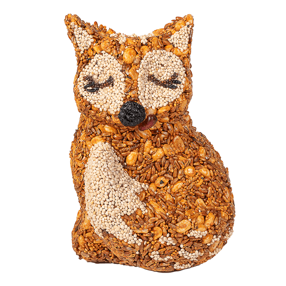 Hot Foxy - Image 2