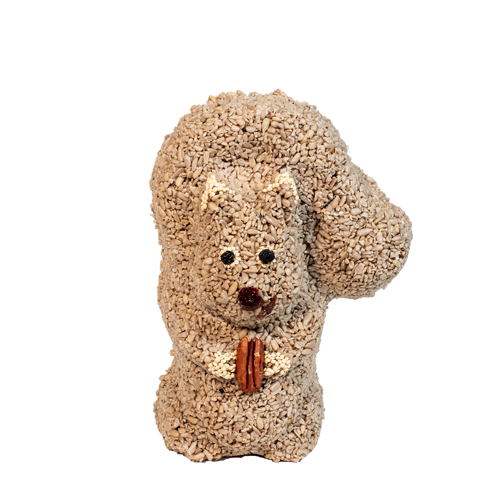 Nutzo Squirrel - Image 6