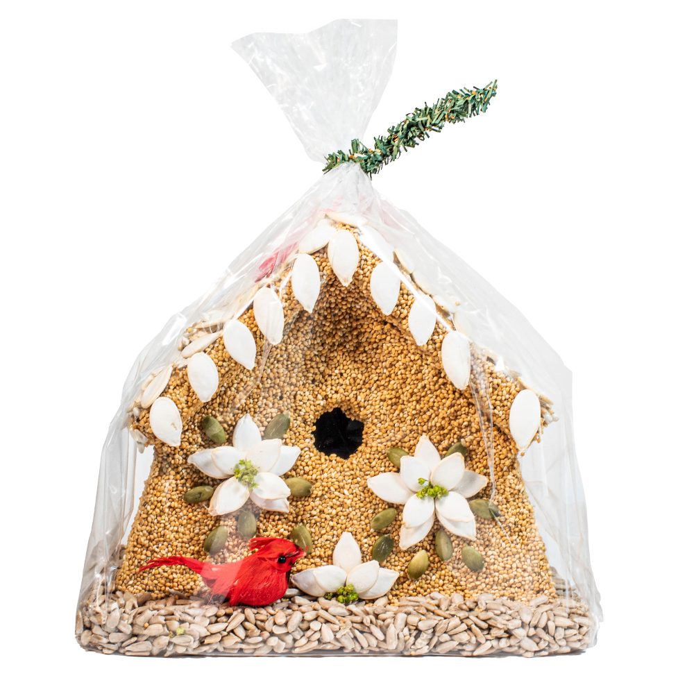 Poinsettia House - Image 3