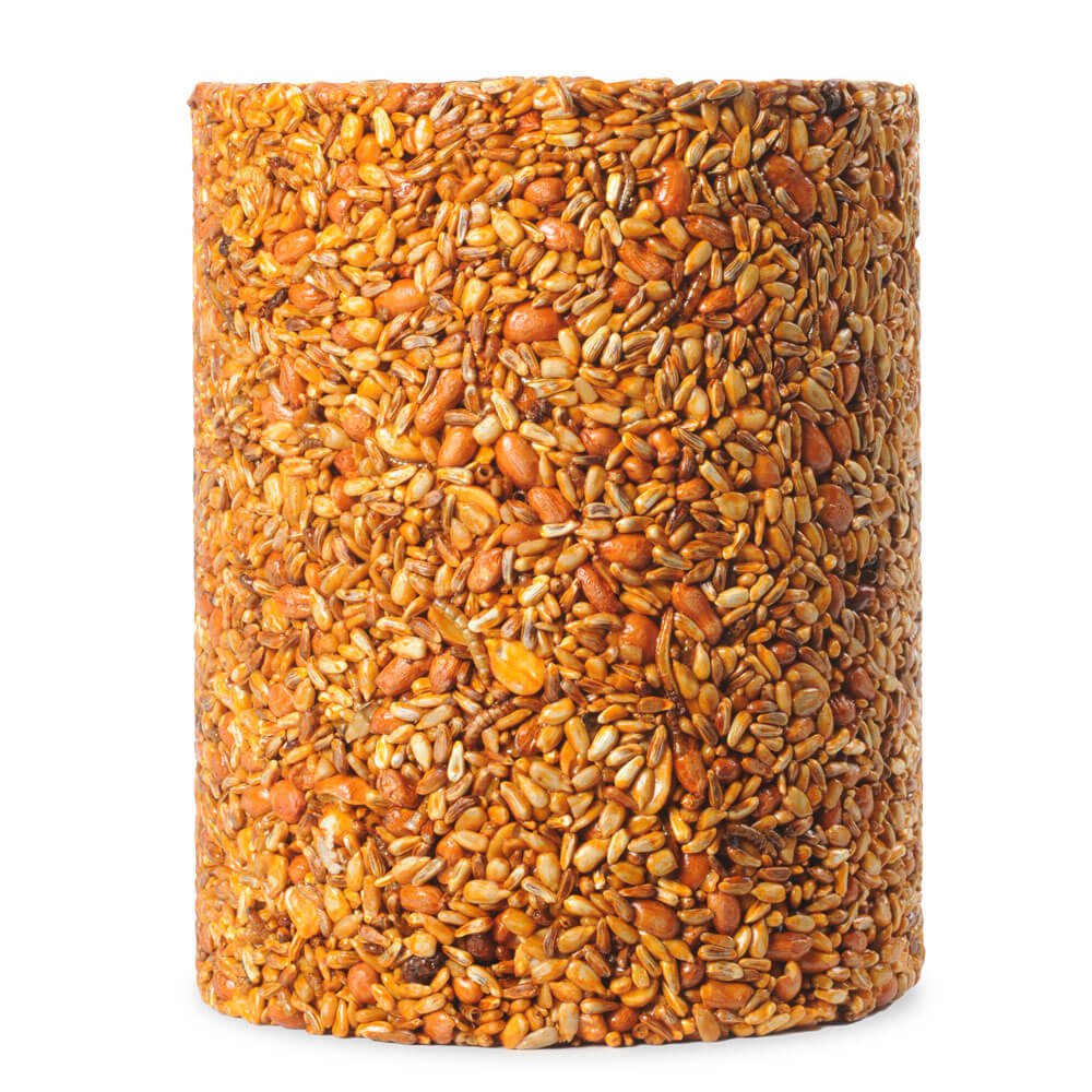 Flaming Hot Feast Cylinder - Large - Better Formula! - Image 2