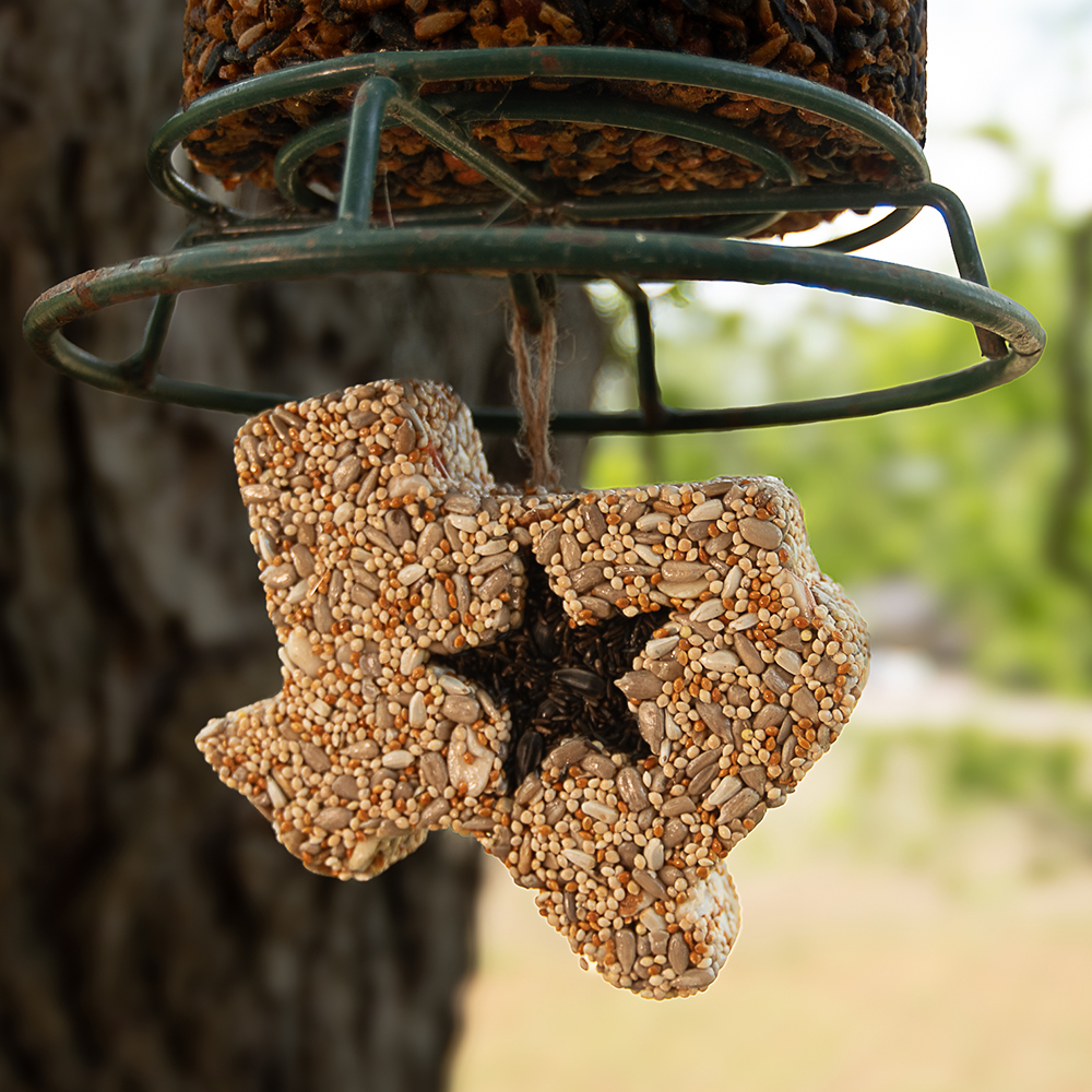 Lone Star Seed Treat - White Refill