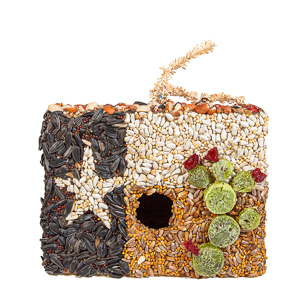 Heart of Texas House - Image 3