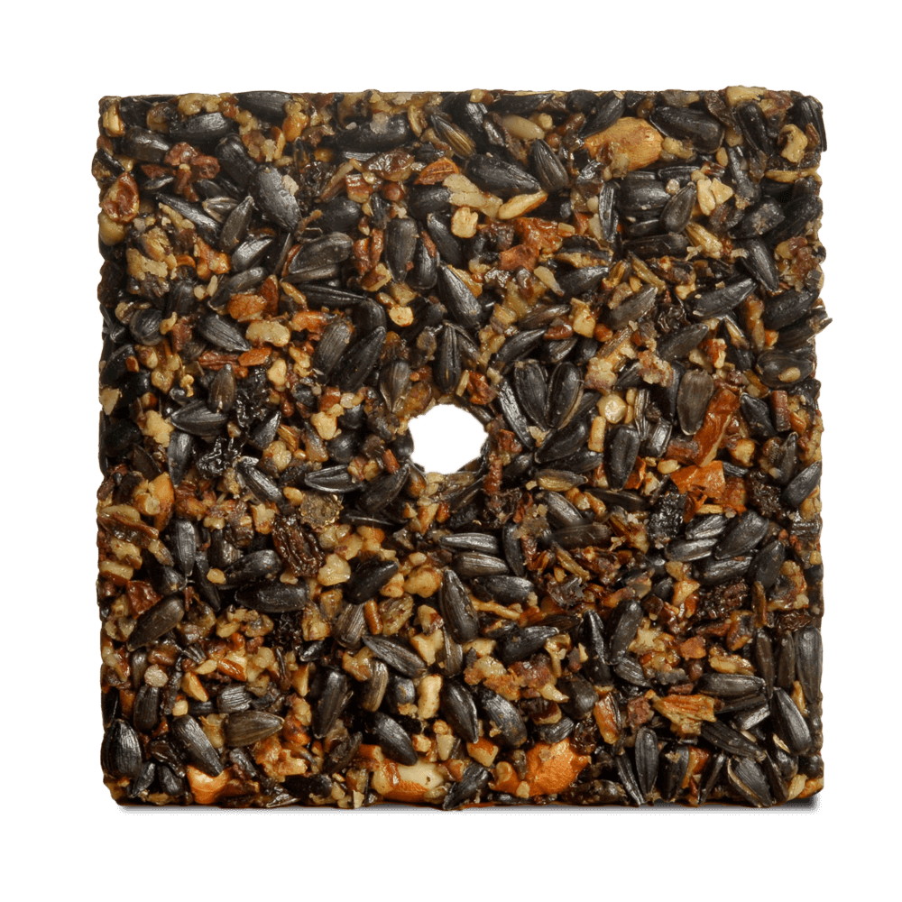 Woodpecker Feast Cake - Small - Image 2