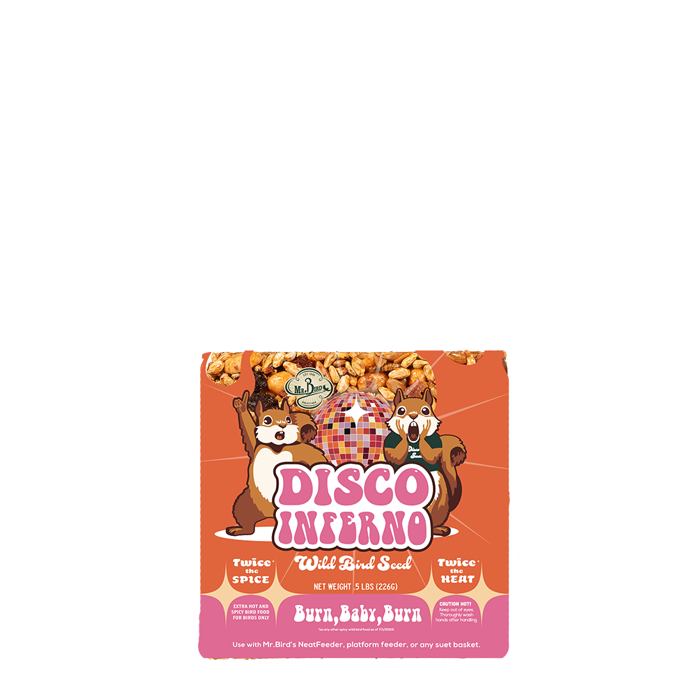 Disco Inferno Sm Cake