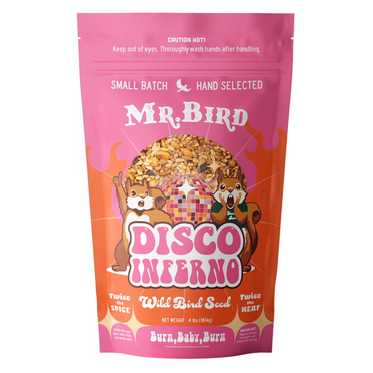 Disco Inferno Bag Seed