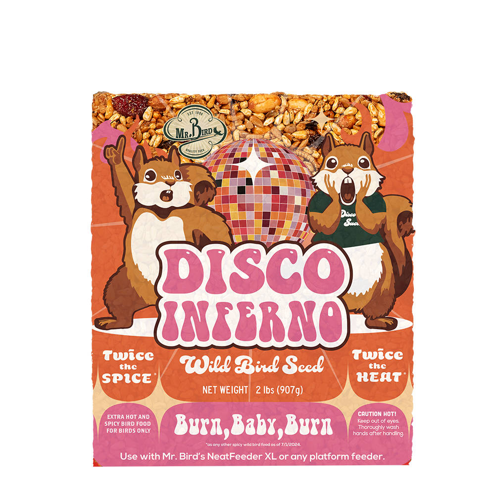 Disco Inferno Large Cake