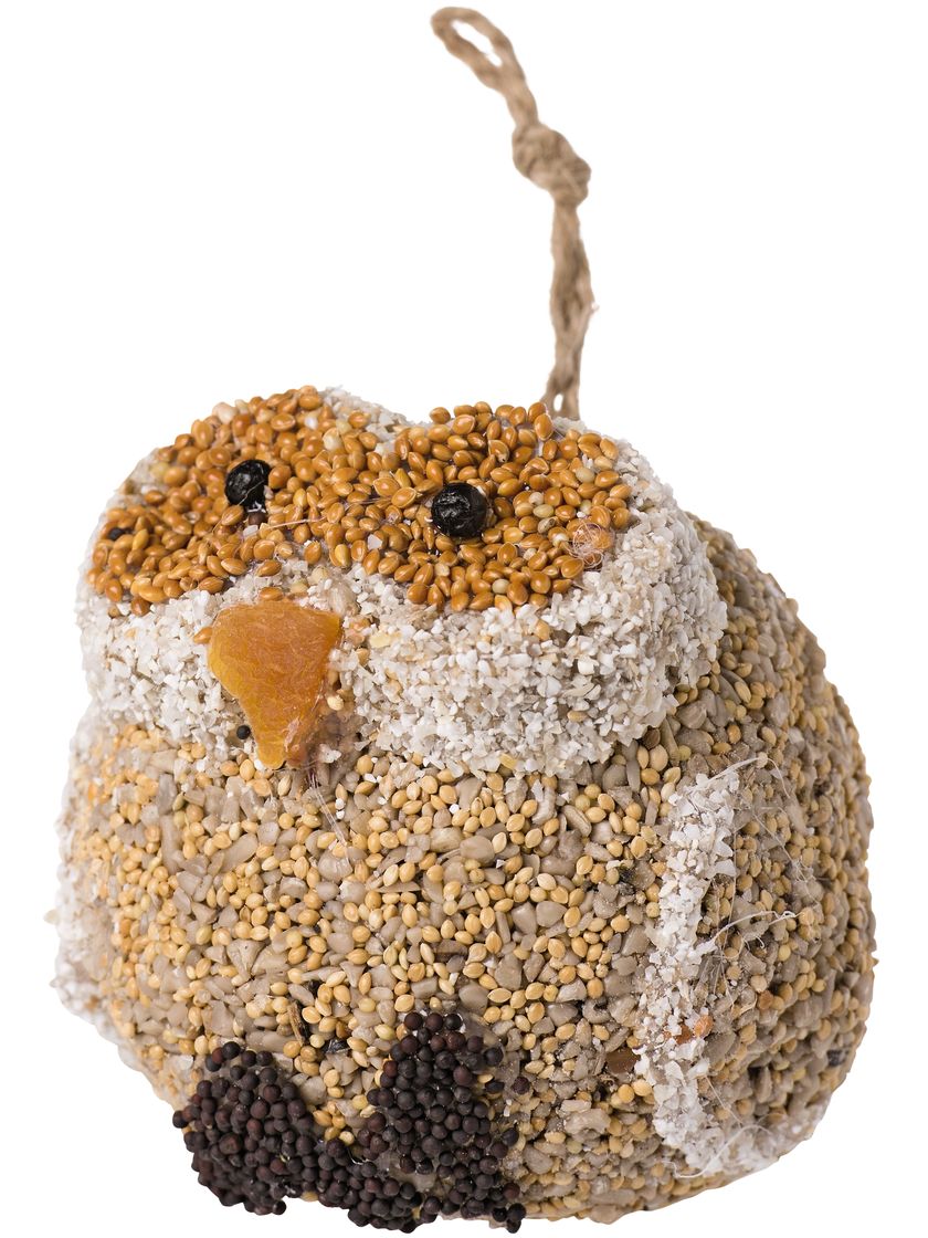 Woodland Friends - Owl - Image 5
