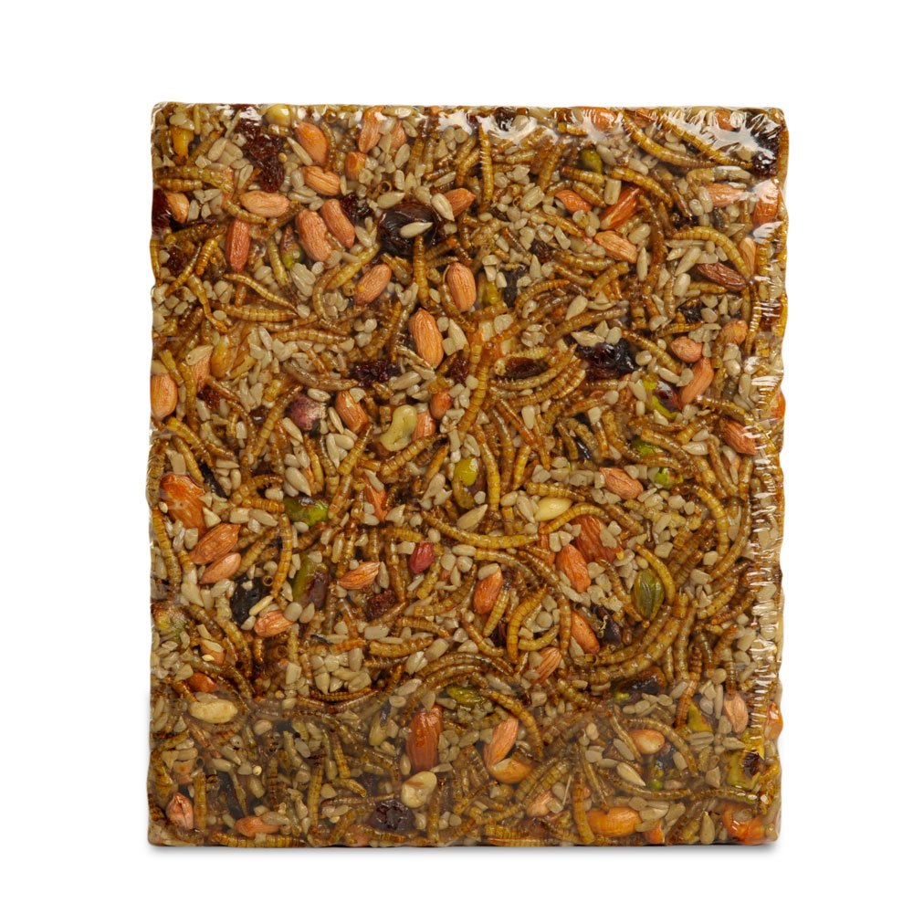 Bugs, Nuts, & Fruit Cake - Large - Image 2