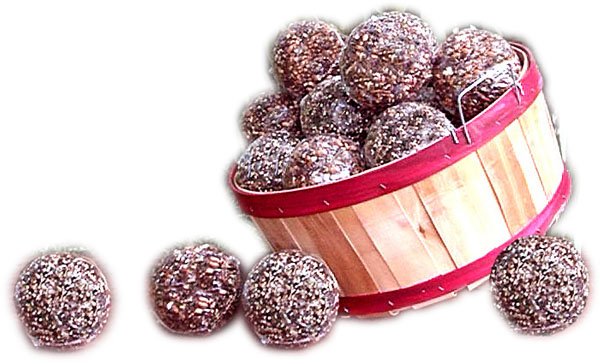 Seed & Nut Ornament - Image 6