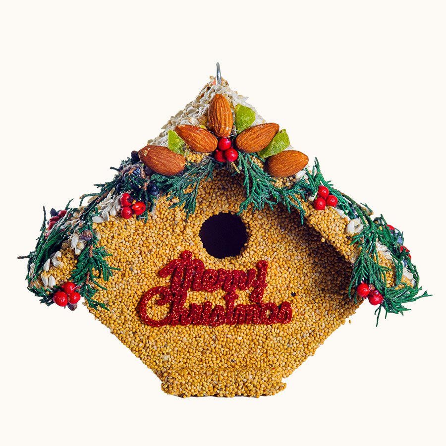 Juniper Casita - Image 2