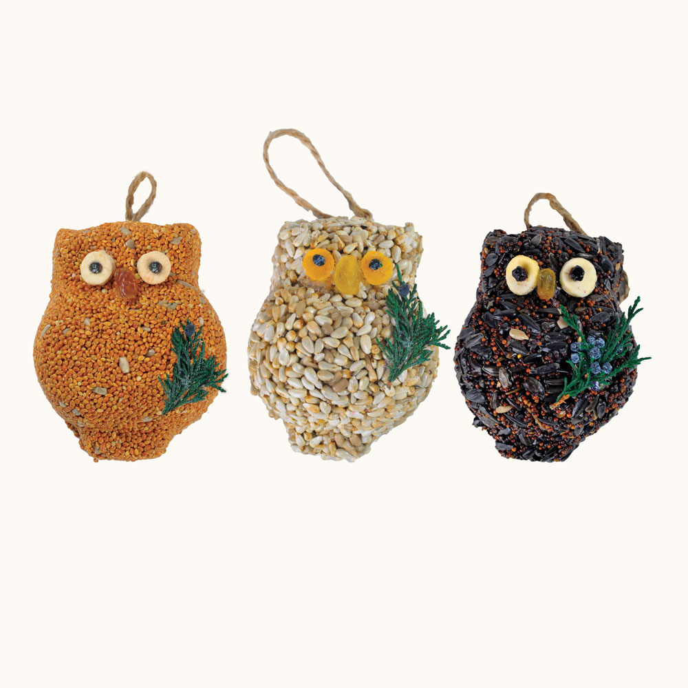 Ollie the Owl - Singles - Image 3